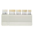 A-D shade guide Ivoclar komplett - комплект расцветок (16 и 4 цвета) 628587 - фото 366645 A-D shade guide Ivoclar komplett - комплект расцветок (16 и 4 цвета) 628587 - фото 366645