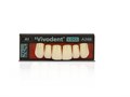 Зубы SR Vivodent S DCL Набор из 6 зубов Chromascop фронт.верх U A26 A1 683579 - фото 369096