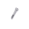 Винт FRIADENT Retaining Screw TempBase, D = 3,0, арт: 46-1279 46-1279 - фото 376148