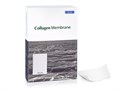 Резорбируемая мембрана 20х30, Collagen Membrane, Genoss (Ю.Корея) GCM2030 - фото 376513