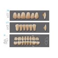 Kaifeng - зубы акриловые 28*1/ A3.5, T9 (1 гарнитур) A3.5T9/L11/32_Kaifeng - фото 400037