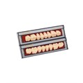 Ivocryl Set - набор боковых пластмассовых зубов, 8 шт 539610 - фото 400152