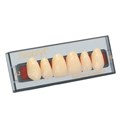 Ivocryl Set - набор фронтальных пластмассовых зубов, 6 шт 539460 - фото 400157
