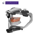 Exocad Modul Full Denture - модуль полносъемных протезов 265213 - фото 401295