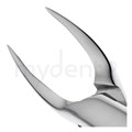Щипцы для удаления зубов верхние корневые, 11-501* 11-501 - фото 410186