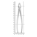 Щипцы для удаления зубов верхние резцы/клыки, 11-34A* 11-34A - фото 411043