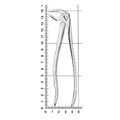 Щипцы для удаления зубов нижние моляры, 12-22* 12-22 - фото 411376