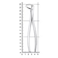 Щипцы для удаления зубов нижние, моляры, 11-73* 11-73 - фото 411731