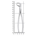 Щипцы для удаления зубов нижние, моляры, 11-86A* 11-86A - фото 411739