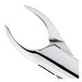 Щипцы для удаления зубов верхние, универсальные, 12-62* 12-62 - фото 413805