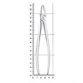 Щипцы для удаления зубов верхние, резцы/клыки, 11-2* 11-2 - фото 414354