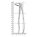 Щипцы для удаления зубов нижние корневые, 12-33M* 12-33M - фото 414480