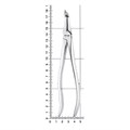 Щипцы для удаления зубов корневые ультра тонкие, 12-46* 12-46 - фото 414687