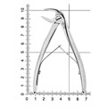 Щипцы для удаления зубов, детские, нижние корни, с упором, клювовидные, стандартные 11-7B* - фото 421981