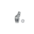 Абатмент угловой Profile EV 4.8, 20°, высота 2 мм NI (Angled Abutment Profile EV 4.8, 20° – 2 mm NI), арт: 25893 25893 - фото 437416