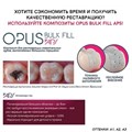 Opus Bulk Fill APS A1, шприц (4гр), FGM 1231914424 - фото 458358