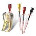 Protaper Universal Obturator F5, 20шт, Dentsply 1231914788 - фото 459627