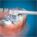 Наконечники Waterpik TB-100E насадки-щетки для WP-100, WP-260, WP-300, WP-660 0001916444 - фото 460567