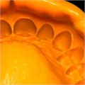 Oranwash L-корригирующий слой для Зета+, С100660, Zhermack 00000910100 - фото 461870