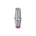 Абатмент Variobase® RB/WB, для коронки, диаметр 3.8мм, высота десны 2.5мм, высота абатмента 5.5мм, с винтом 062.4935 - фото 463509