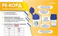 Нить ретракционная Ре-Корд (набор нитей №1, №2, №3 не пропитанных 2 ,8 м+ жидкость 15 мл). 00000066233 - фото 468733