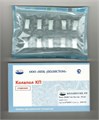 Колапол КП ЛМ 10 фрагментов 20 х 8 х 7 мм (линкомицин и метронидазол) st931966 - фото 471991
