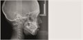 Томограф Orthopantomograph KAVO DEXIS OP 3D Pro Ceph область 3D сканирования 8x15 см с цефалостатом 0.805.5600 - фото 475472