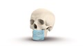 Томограф Orthopantomograph KAVO DEXIS OP 3D Pro Ceph область 3D сканирования 8x15 см с цефалостатом 0.805.5600 - фото 475477