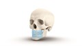 Томограф Orthopantomograph KAVO DEXIS OP 3D Pro Ceph область 3D сканирования 8x15 см с цефалостатом 0.805.5600 - фото 475478
