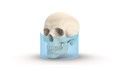 Ортопантомограф KAVO 2D DEXIS OP 3D Pro Pan 0.805.5100 - фото 475529