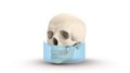 Ортопантомограф KAVO 2D DEXIS OP 3D Pro Pan 0.805.5100 - фото 475530
