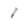 Винт FRIADENT Retaining Screw TempBase, D = 3,4 - 5,5, арт: 46-1280 46-1280 - фото 479611
