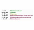 EndoEst-5F (AЭ-01) - ЭОД, депофорез, электрофорез, апекслокация, анодная стерилизация ГЕ40D-5F - фото 482548