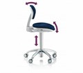 Стул врача-стоматолога, вариант исполнения: PHYSIO ONE 38, Mint 1.010.0800-one - фото 484605