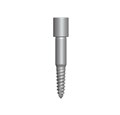 DGAS06 Фиксирующий винт 15 мм DGAS06, Dentium (Ю.Корея) DGAS06 - фото 486430