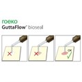Guttaflow Bioseal - биоактивный материал с биокерамикой для обтурации канала 60019560 - фото 488658