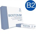 BOSTON ЦВЕТ B2, ШПРИЦ (6ГР.) - СВЕТООТВЕРЖДАЕМЫЙ МИКРОГИБРИДНЫЙ КОМПОЗИТНЫЙ МАТЕРИАЛ, ARKONA (ПОЛЬША) 1231916850 - фото 492296