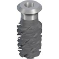 Имплантат Straumann TLX S, WT Ø 6.5 мм, 12 мм, Roxolid®, SLActive® 035.1812S - фото 492463