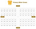 Коронки I CROWN Refill EUR-5 из нержавеющей стали детские (5 шт) Seil Global 1231917663 - фото 493192