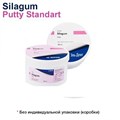 SILAGUM Putty Standart (2х262мл), 909420, DMG 00000000567 - фото 493420