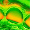 Elite НD + Putty Soft Normal Setting (2х250мл) С203000 00000909462 - фото 493500