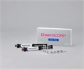 ЧармКор (CharmCore), белый, Мат-л композитный двойного действия, 2шпрх5мл+20+20, DentKist УТ-00000603 - фото 519025