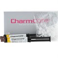 ЧармКор (CharmCore), белый, Мат-л композитный двойного действия, 2шпрх5мл+20+20, DentKist УТ-00000603 - фото 519027