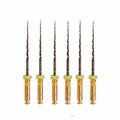 Машинные файлы UltraFiles GOLD 25мм 06 №20 (6шт), ЕВРОФАЙЛ 00000016584 - фото 520434