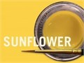 MiYO Translucent флуоресцентная паста краситель Sunflower, 4 г, Jensen Dental УТ-00006574 - фото 520785