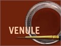 MiYO Gingiva Color внешний краситель для десны Venule, 4 г, Jensen Dental УТ-00006555 - фото 520908