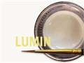 MiYO Translucent флуоресцентная паста краситель Lumin, 4 г, Jensen Dental УТ-00006576 - фото 521327