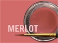 MiYO Gingiva Color внешний краситель для десны Merlot, 4 г, Jensen Dental УТ-00007286 - фото 521336