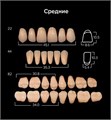 Зубы акриловые ANIS 2-х слойные А2 размер 22 (22, 44, 82 верх, 82 низ) 560шт, АНИС 00000015095 - фото 522596