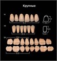 Зубы акриловые ANIS 2-х слойные А2 размер 11 (11, 43, 83 верх, 83 низ) 560шт, АНИС УТ-00001291 - фото 522607